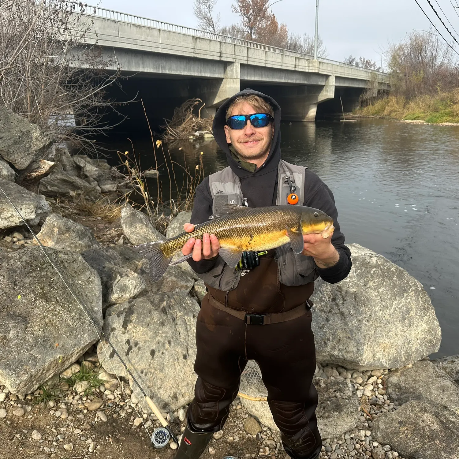 The most recent Largescale sucker catches on Fishbrain