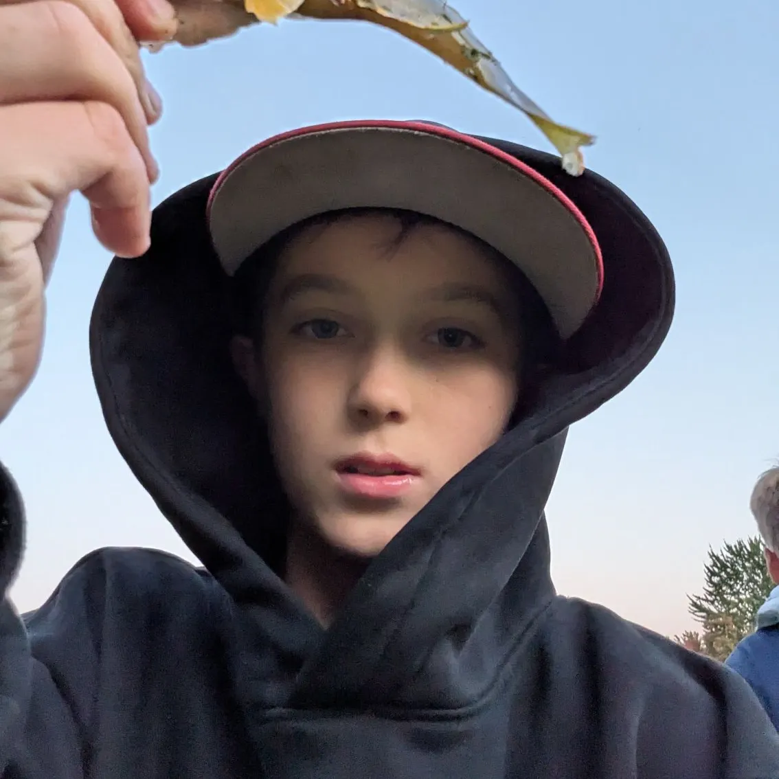 Green sunfish caught on Fishbrain