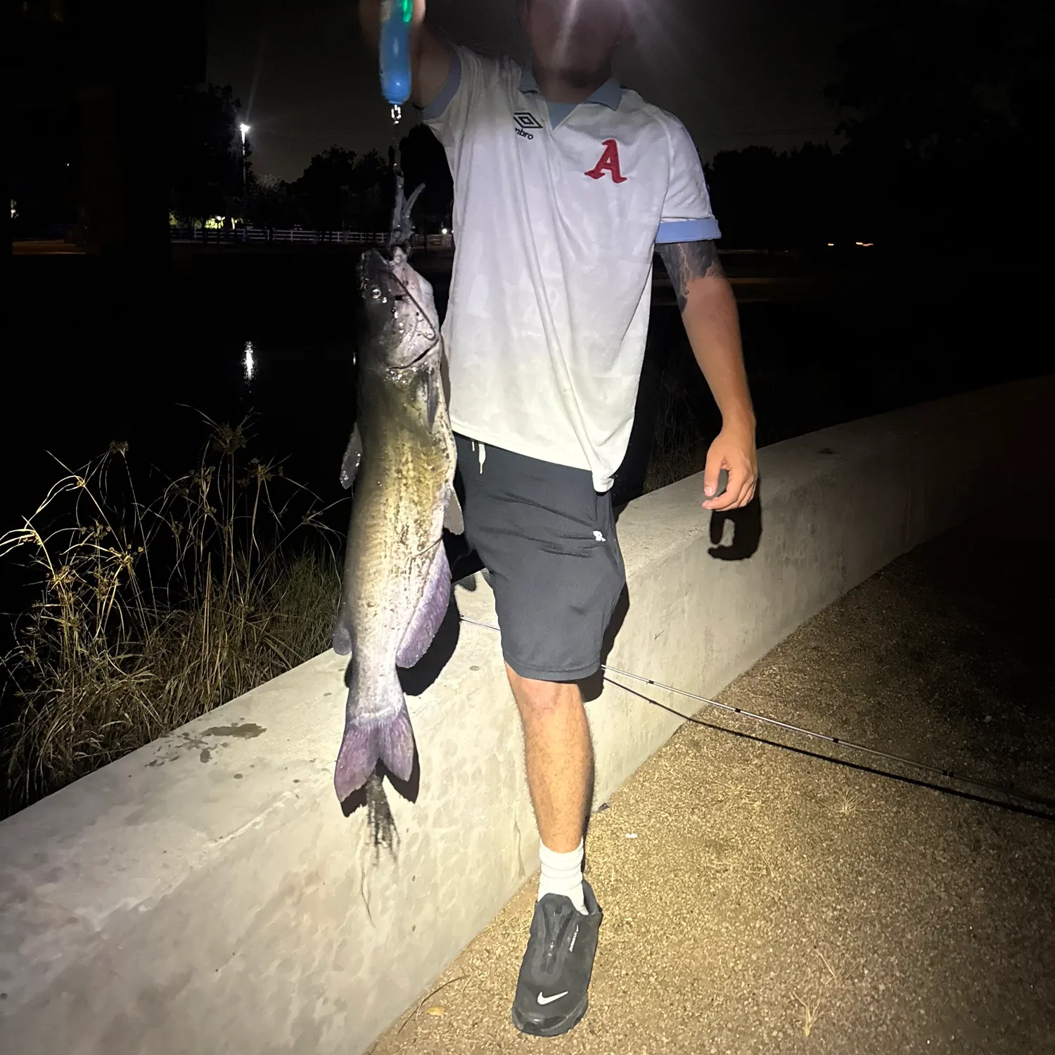 Channel catfish caught on Fishbrain