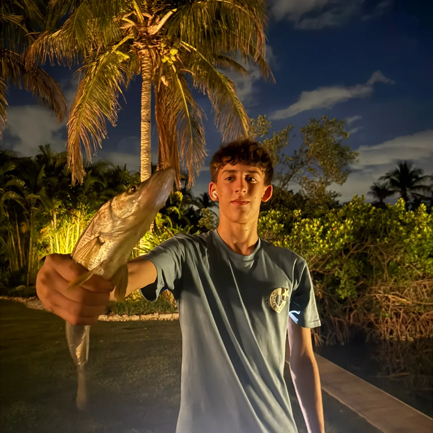 The most recent Striped searobin catches on Fishbrain