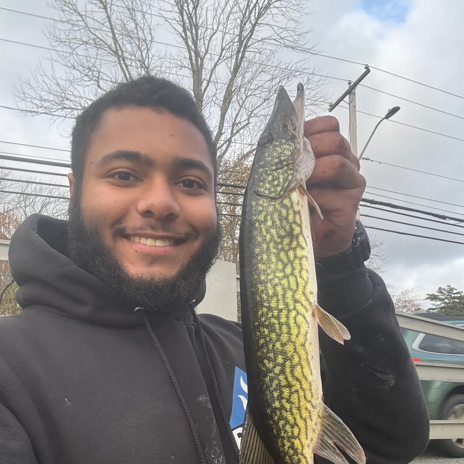 Chain pickerel caught on Fishbrain
