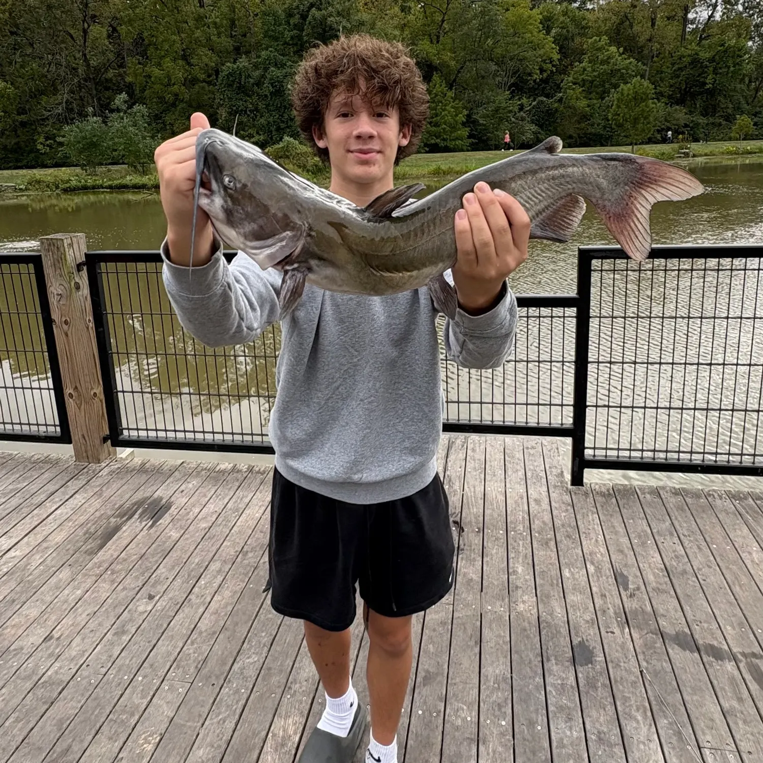 Channel catfish caught on Fishbrain