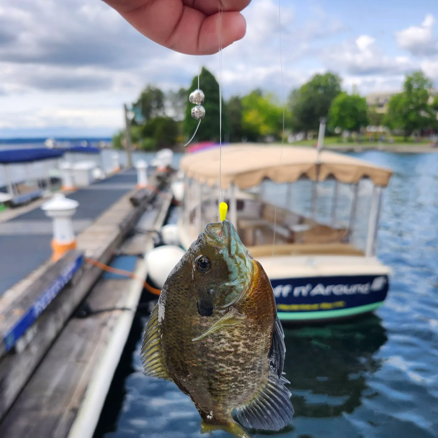 catch