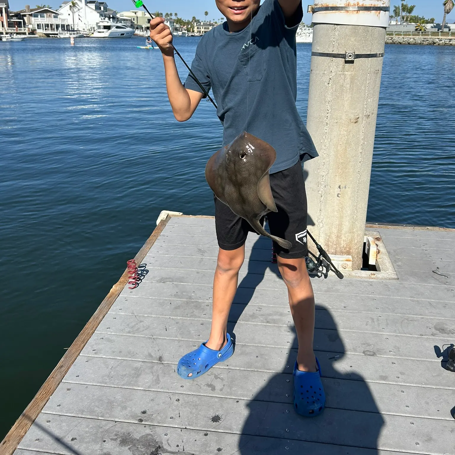 The most recent Pacific shovelnose guitarfish catches on Fishbrain