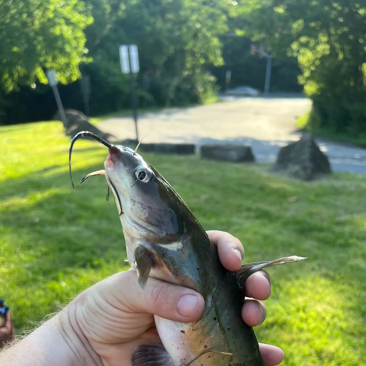 catch