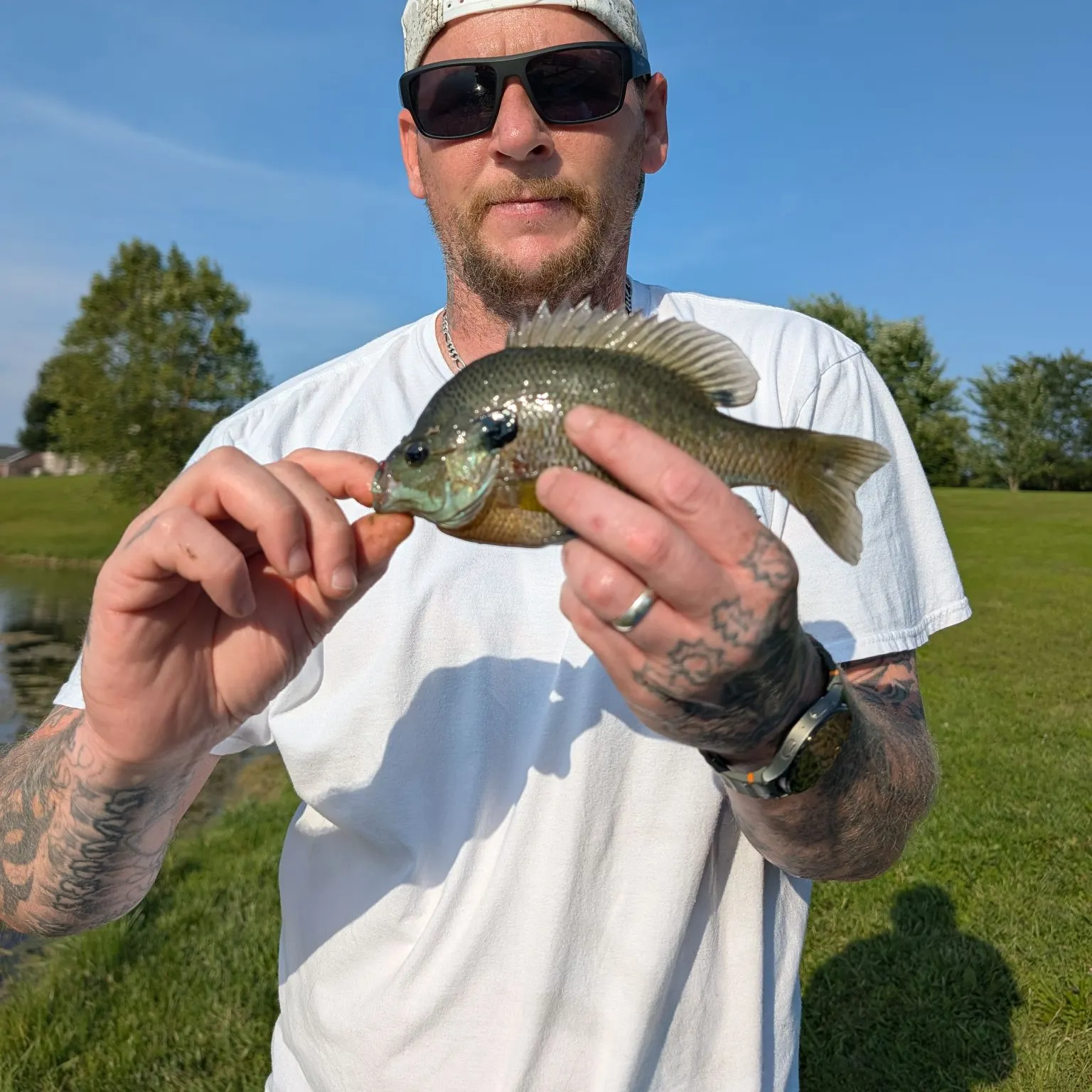 Fish caught on Fishbrain