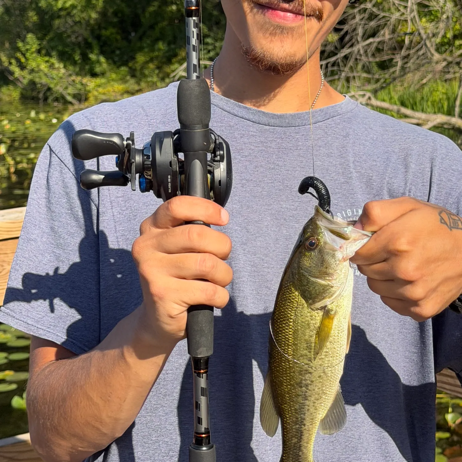 Largemouth bass caught on Fishbrain