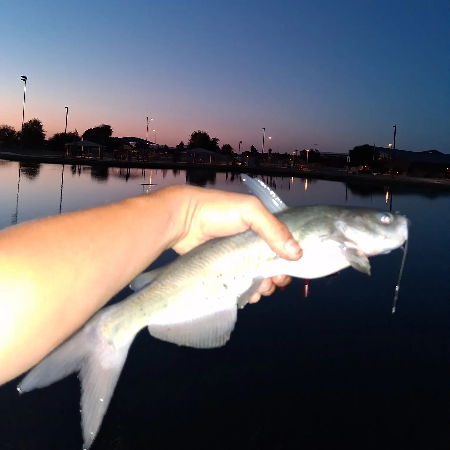 catch
