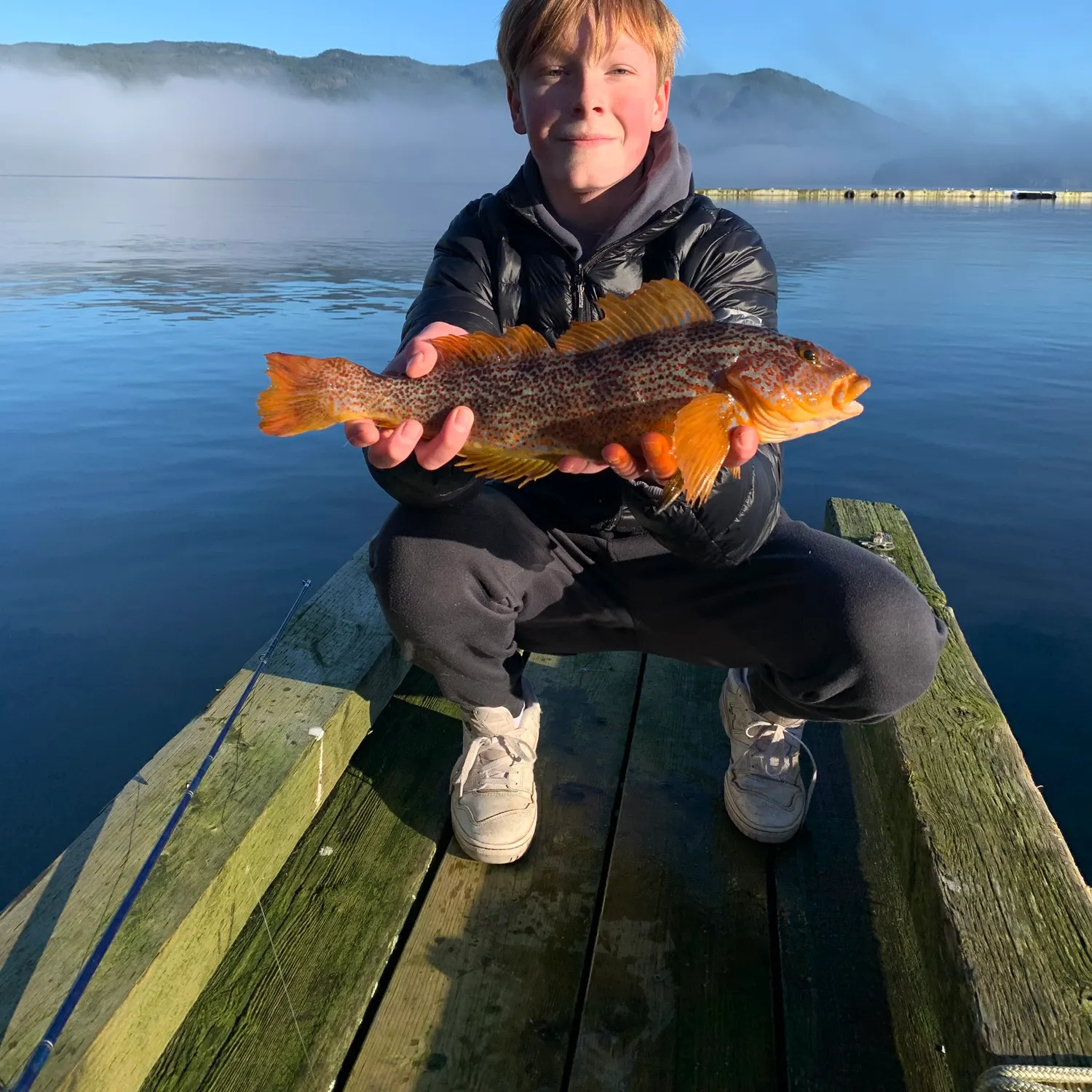 The most recent Kelp greenling catches on Fishbrain