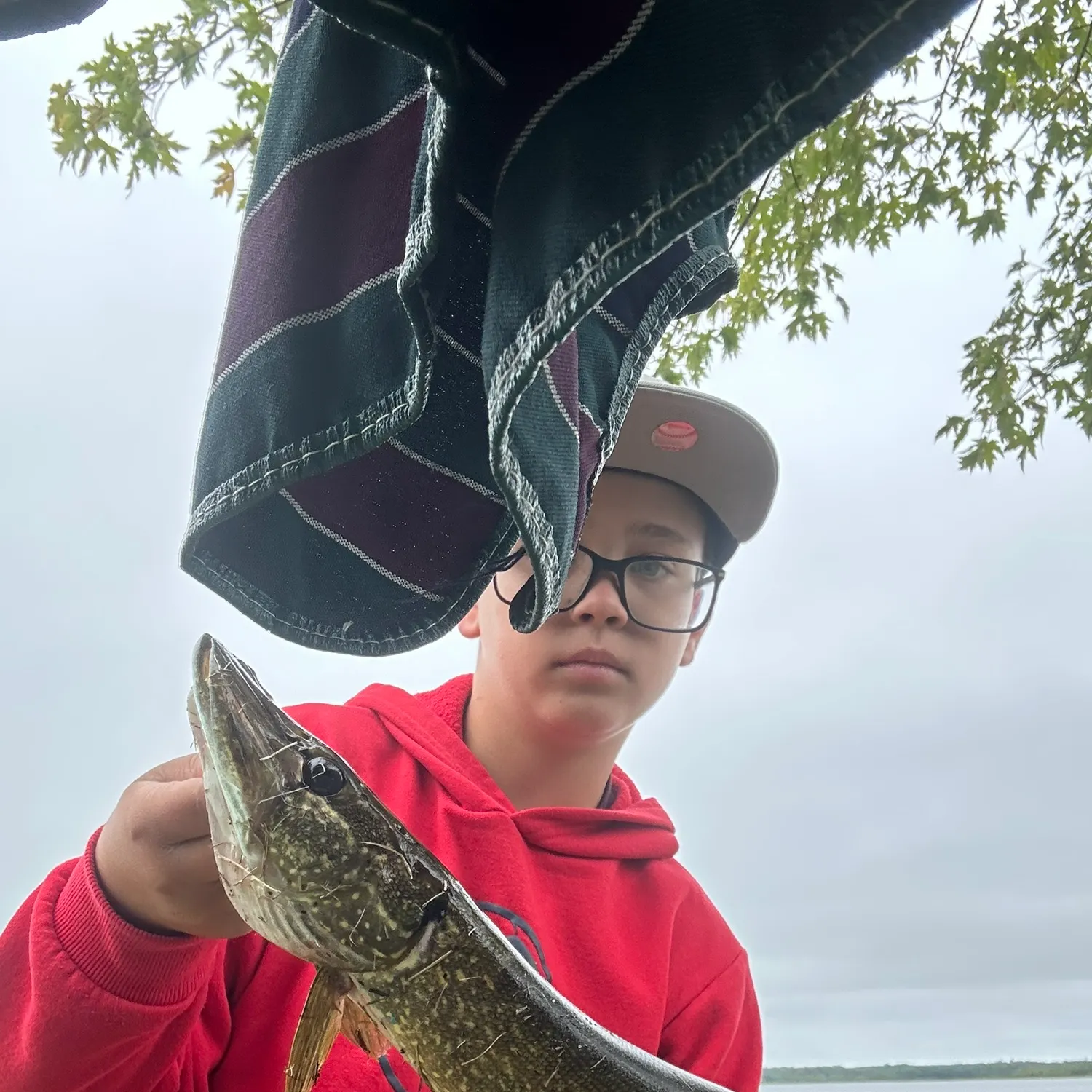 Northern pike caught on Fishbrain