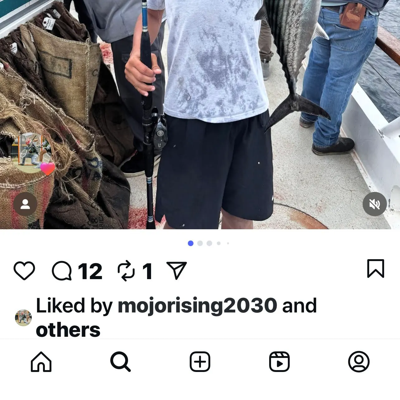 The most recent Giant sea bass catches on Fishbrain