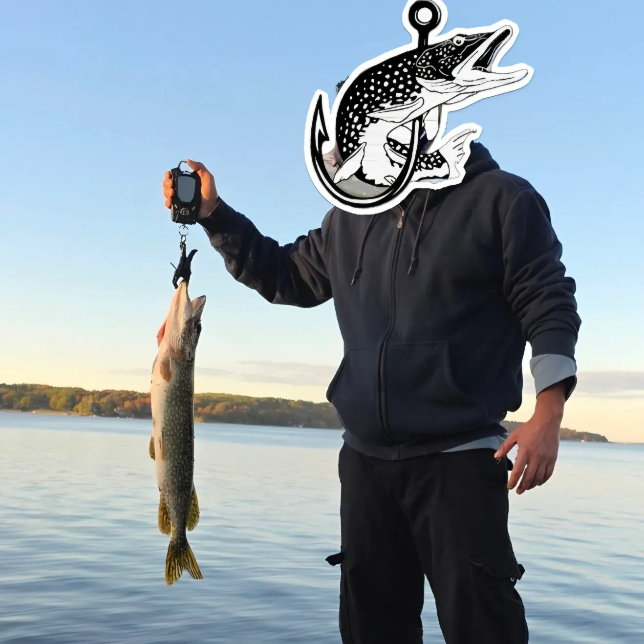 Northern pike caught on Fishbrain