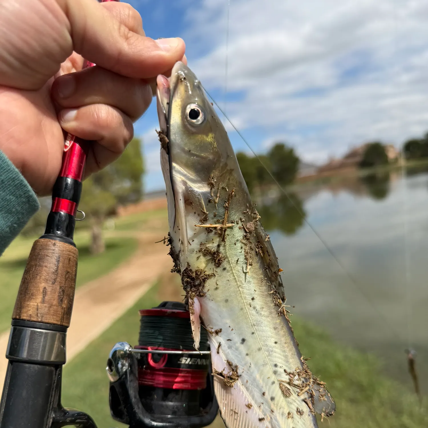 catch