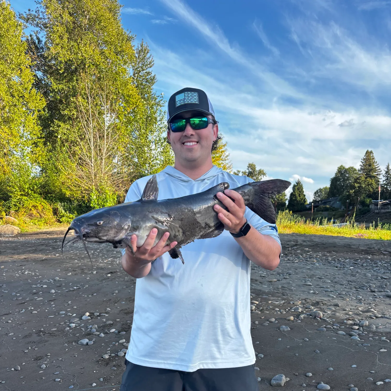 Channel catfish caught on Fishbrain
