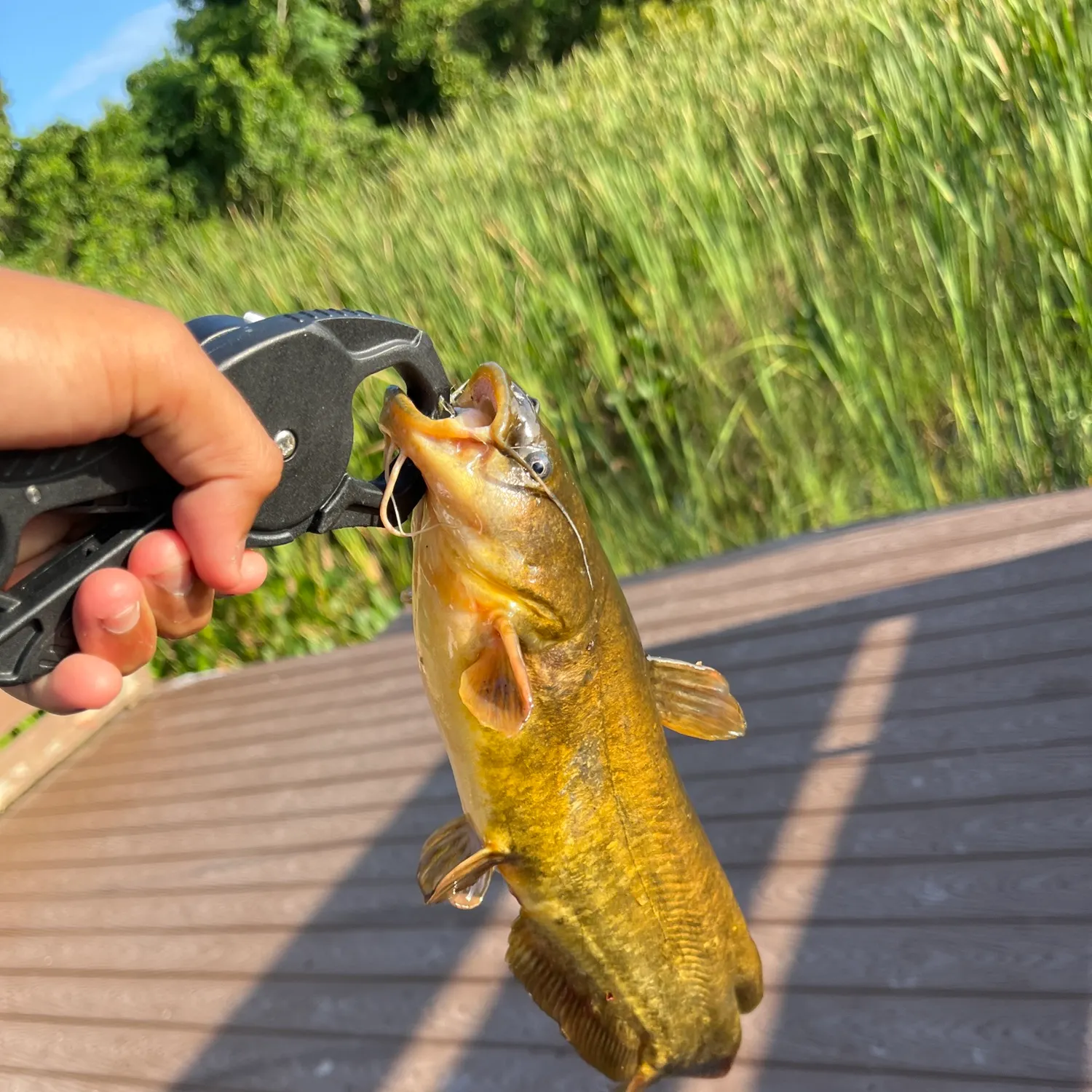 catch