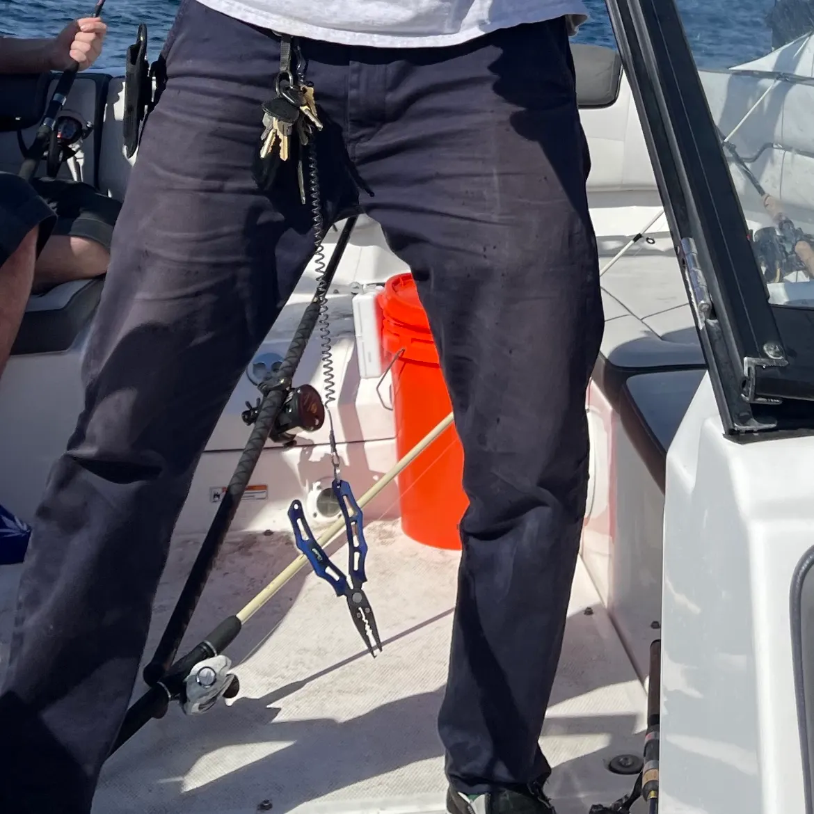 The most recent Eastern Pacific bonito catches on Fishbrain