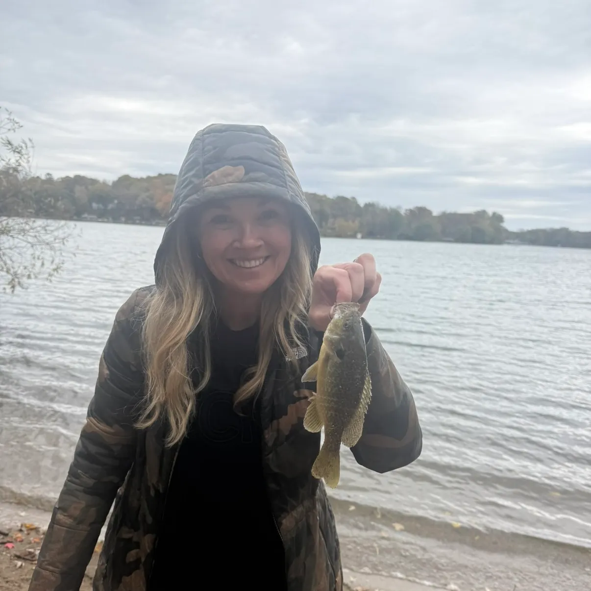 Rock bass caught on Fishbrain