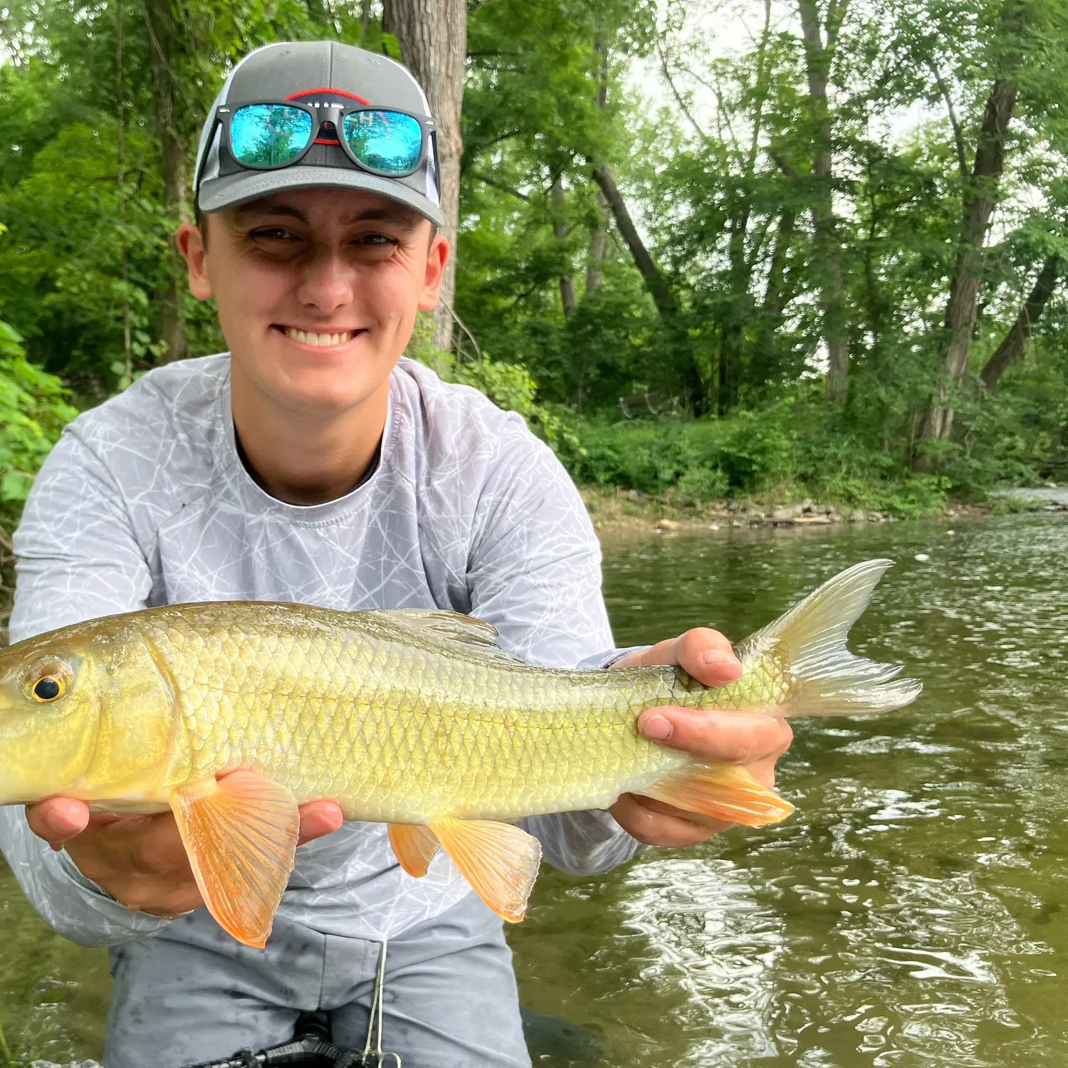 The most recent Golden redhorse catches on Fishbrain
