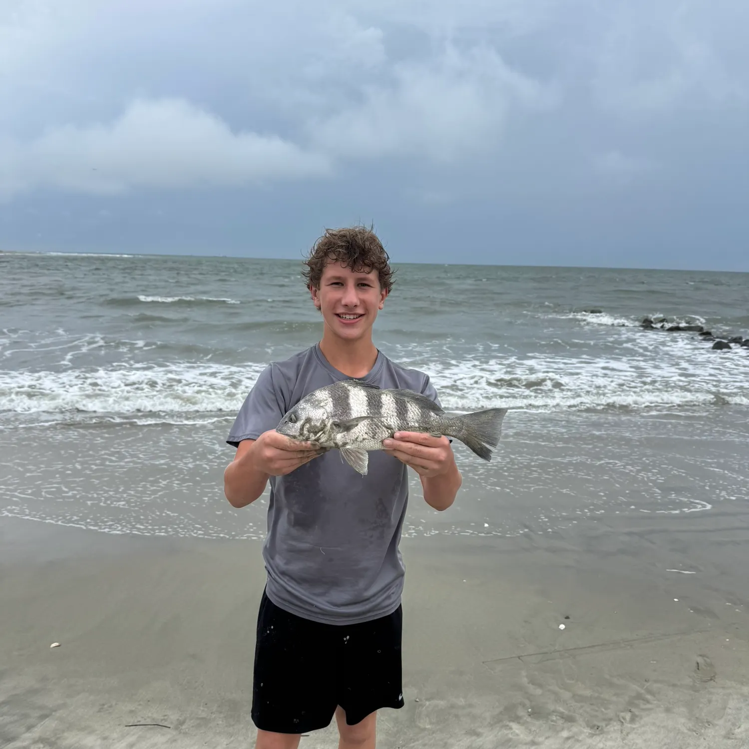 Black drum caught on Fishbrain