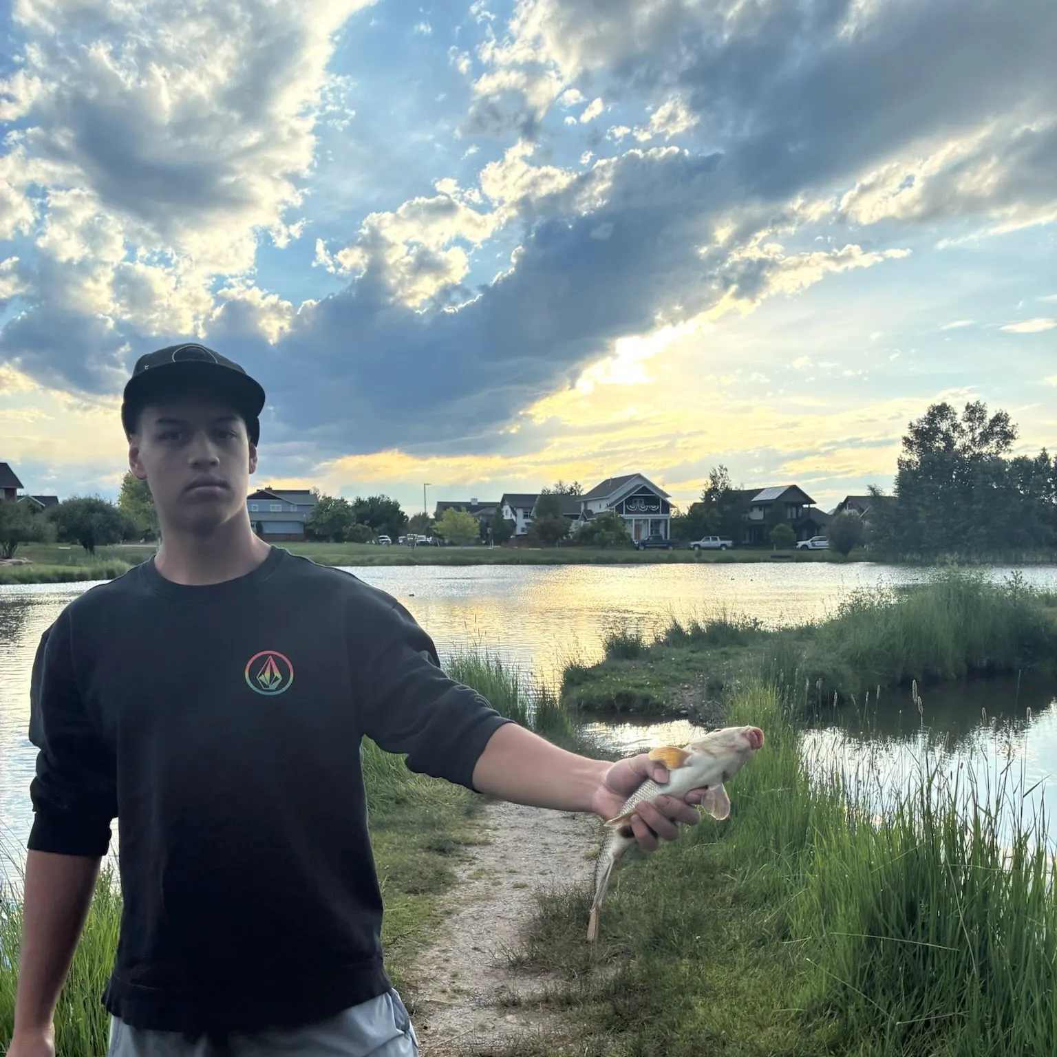 The most recent Northern hogsucker catches on Fishbrain