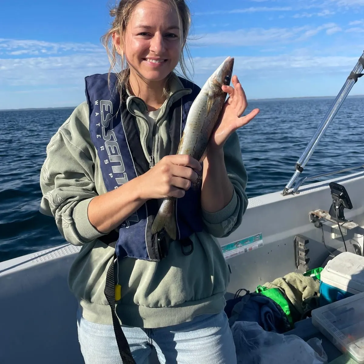 The most recent King George whiting catches on Fishbrain