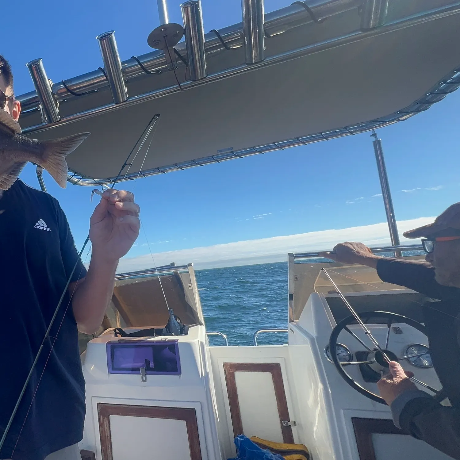 The most recent Hottentot seabream catches on Fishbrain