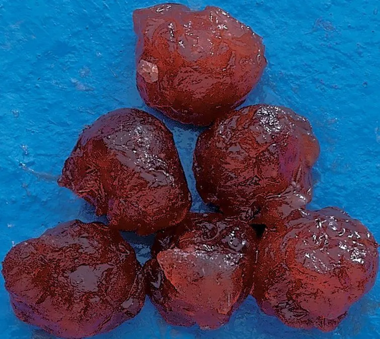 Salmon Roe