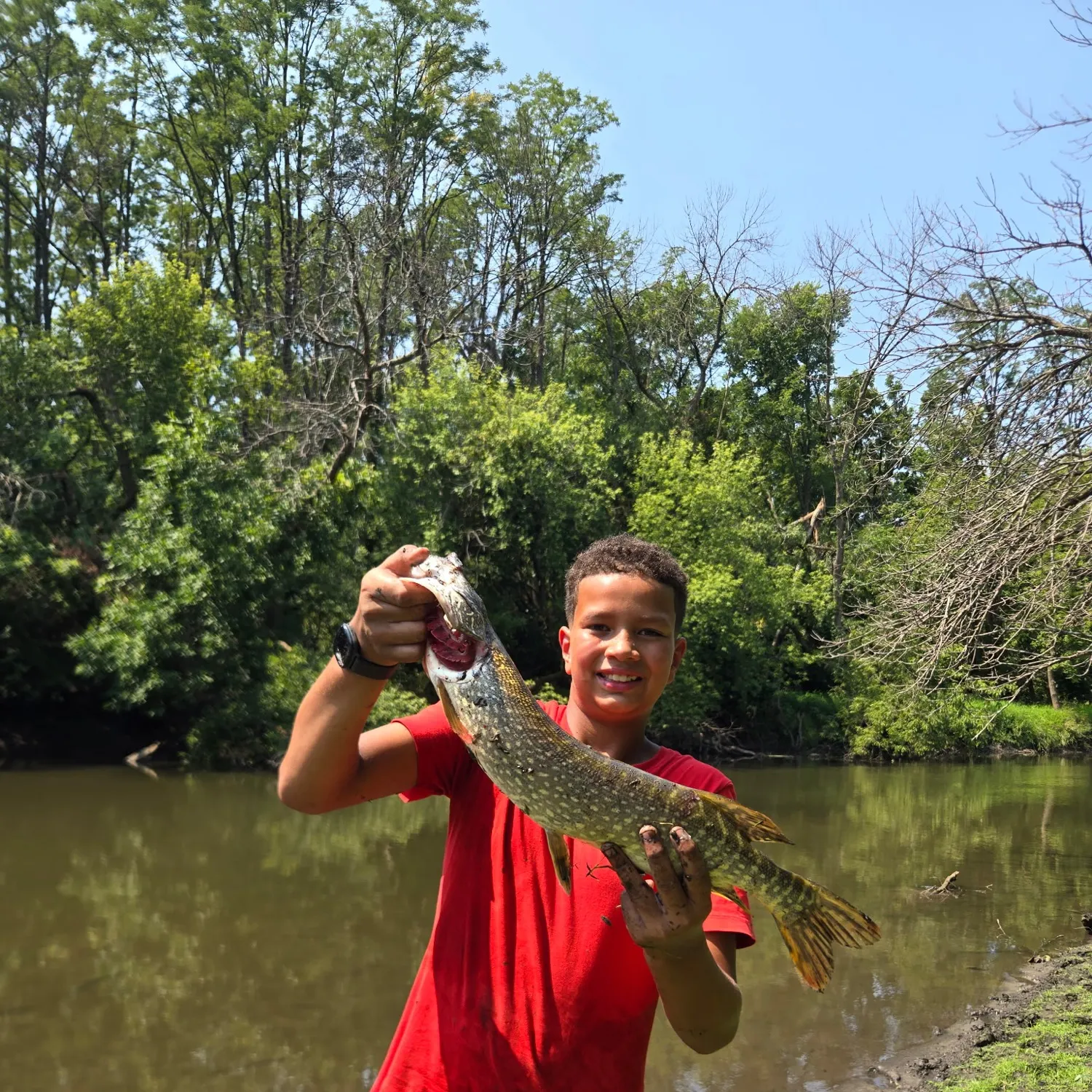 catch
