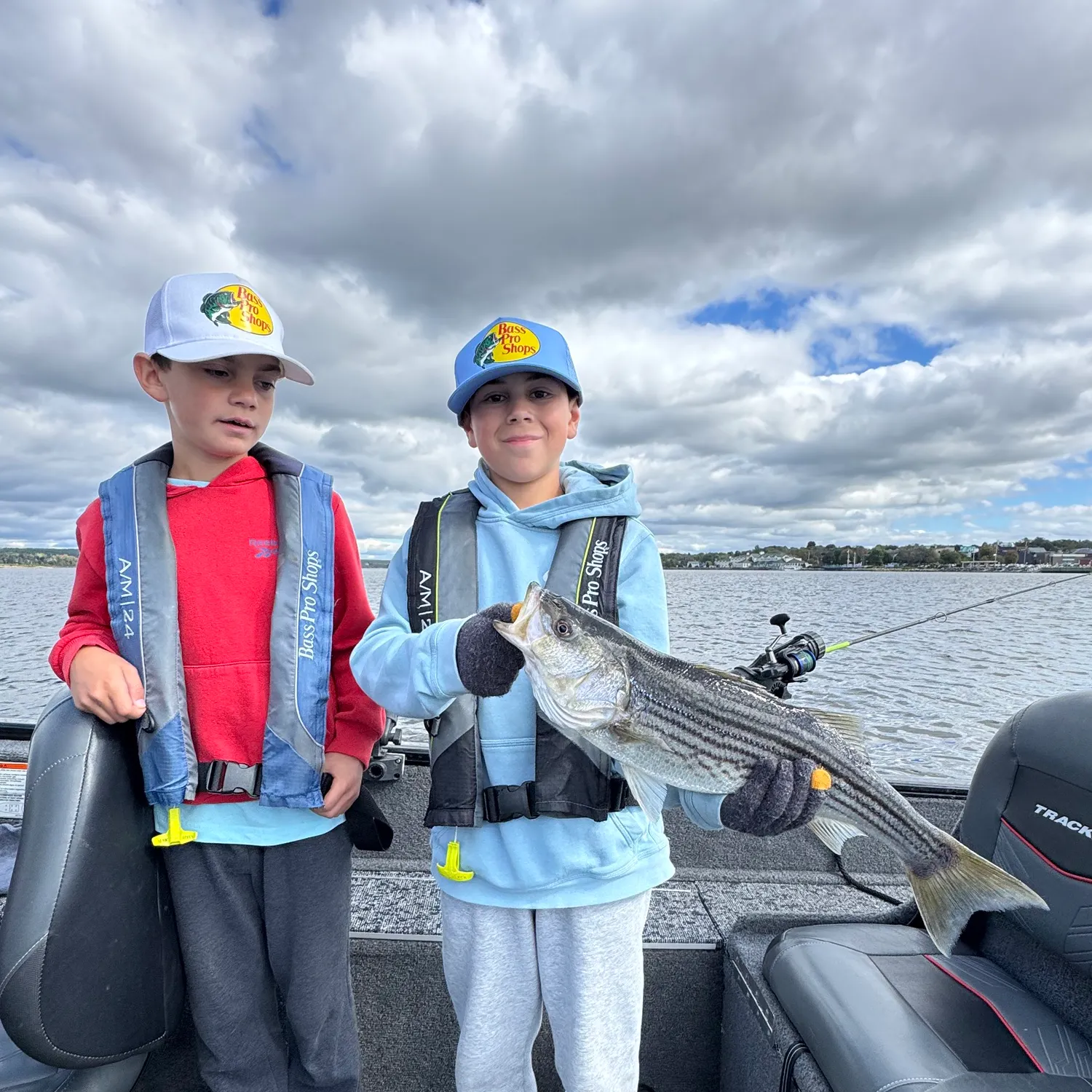 Striped bass caught on Fishbrain