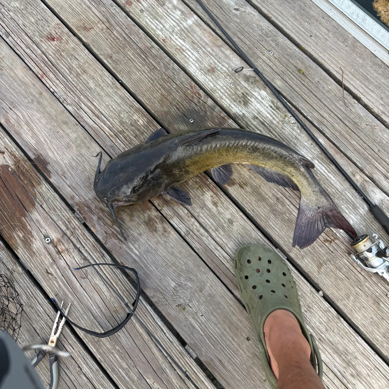 catch