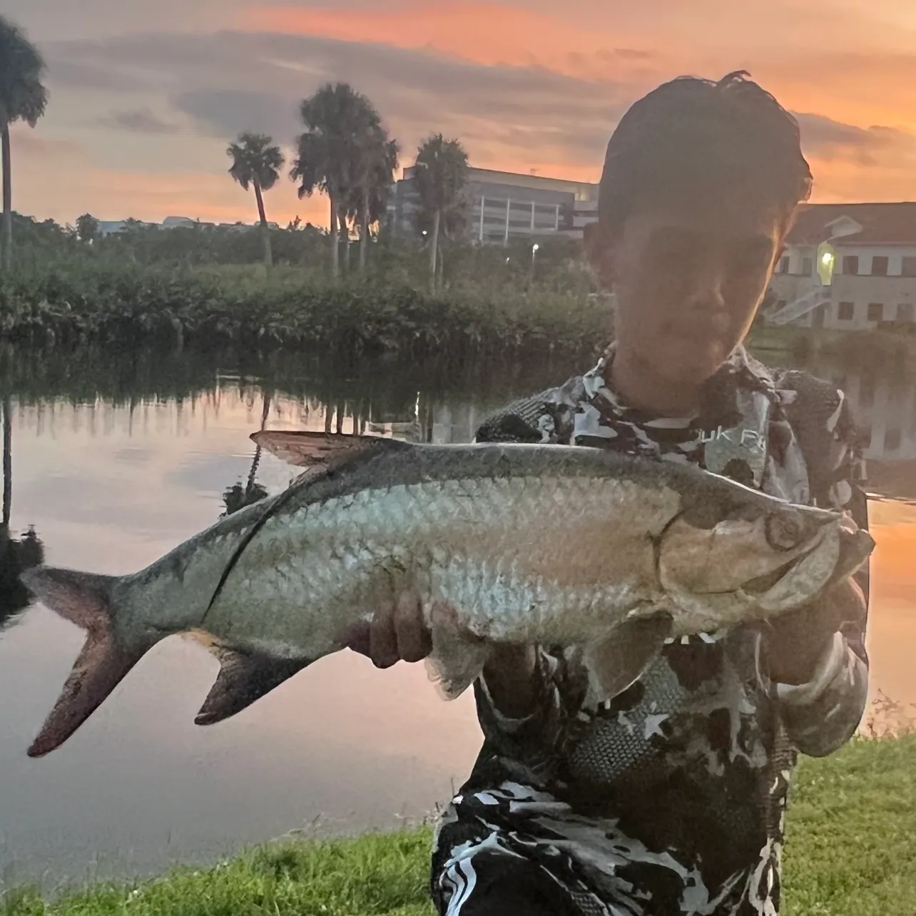 Tarpon caught on Fishbrain