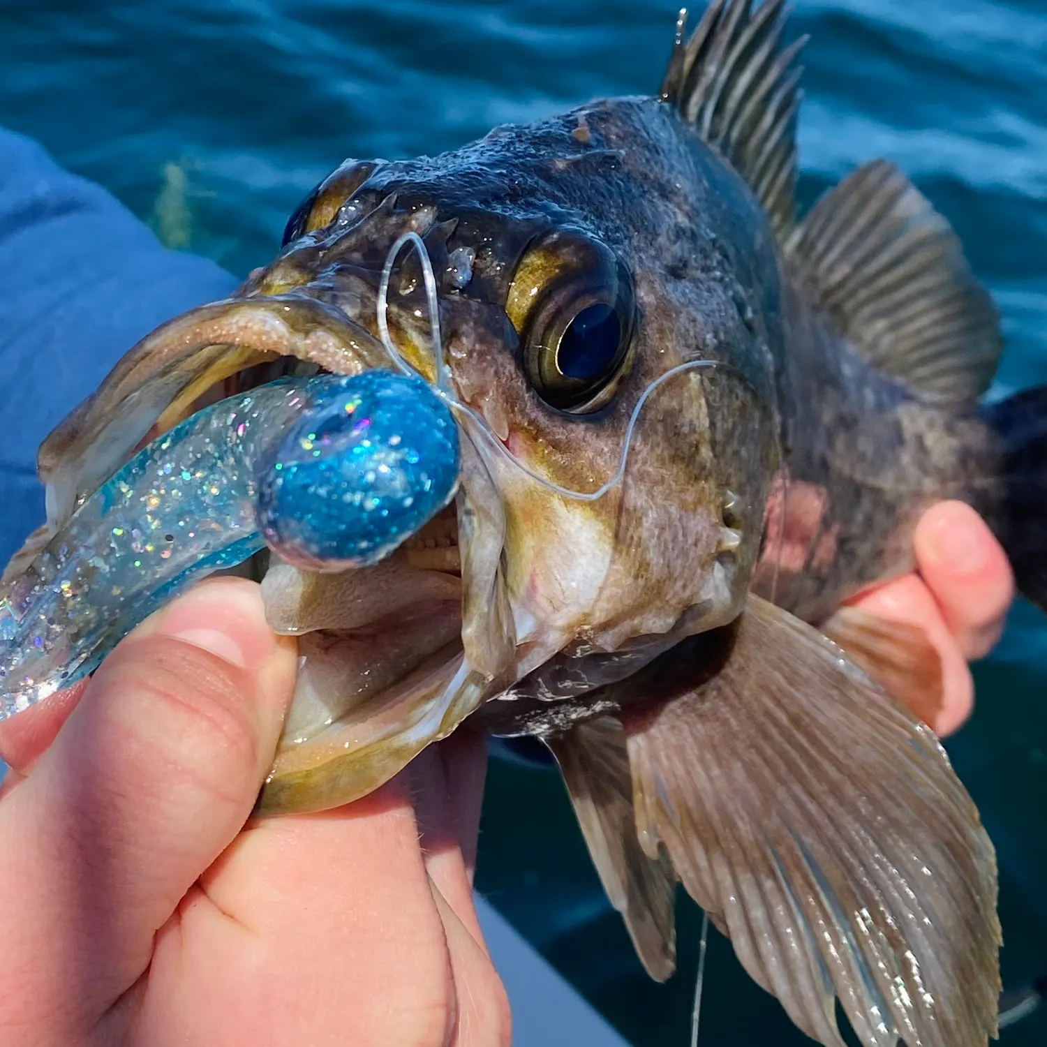 most liked catch image