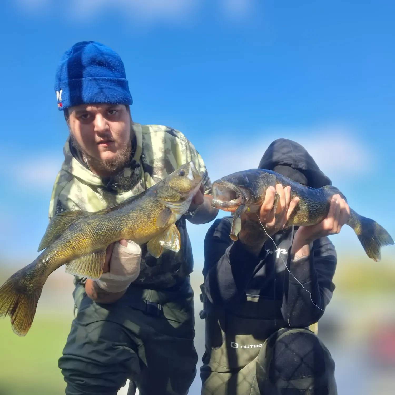 Walleye caught on Fishbrain