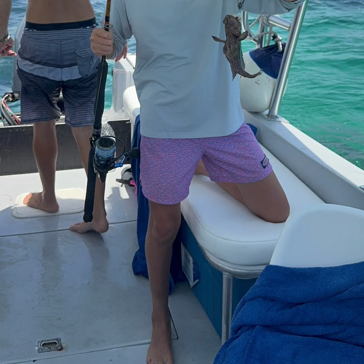 The most recent Areolate grouper catches on Fishbrain