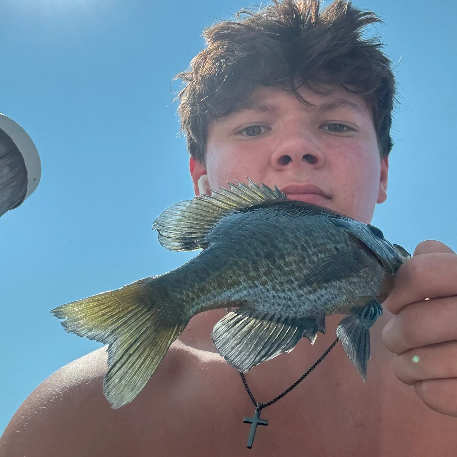 Greengill hybrid caught on Fishbrain