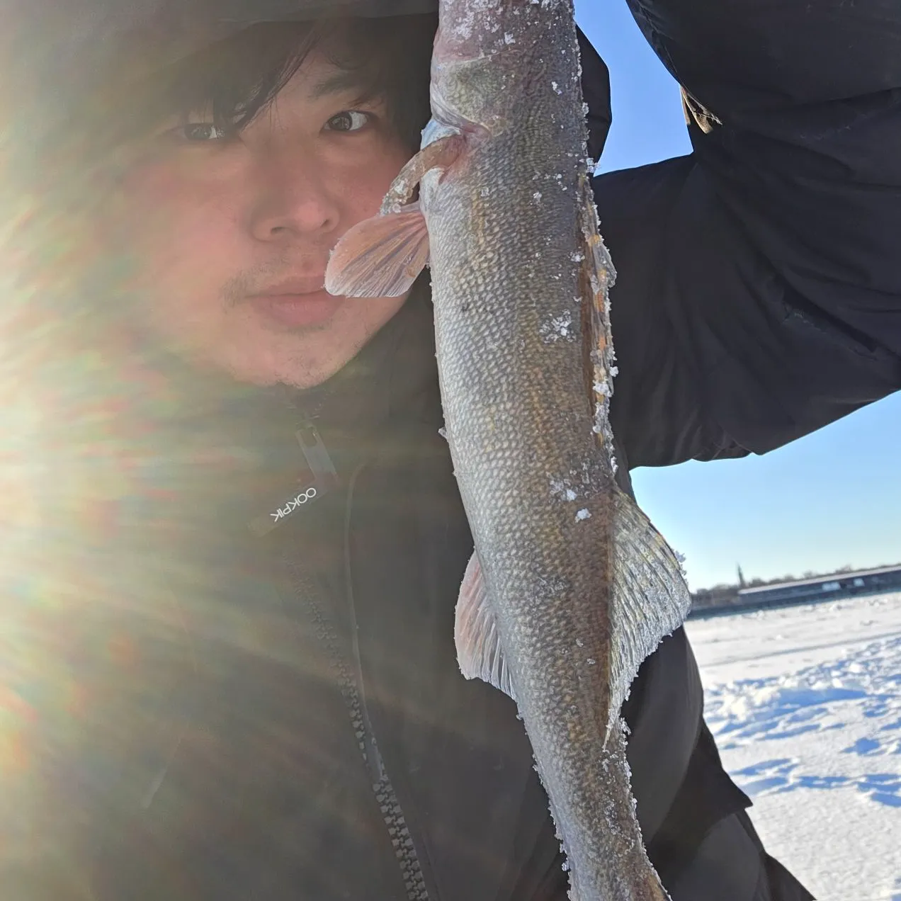 The most recent Sauger catches on Fishbrain