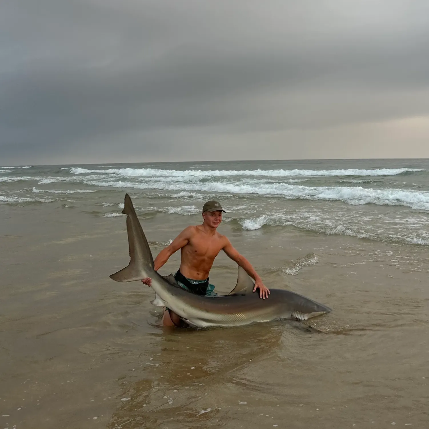 The most recent Copper shark catches on Fishbrain