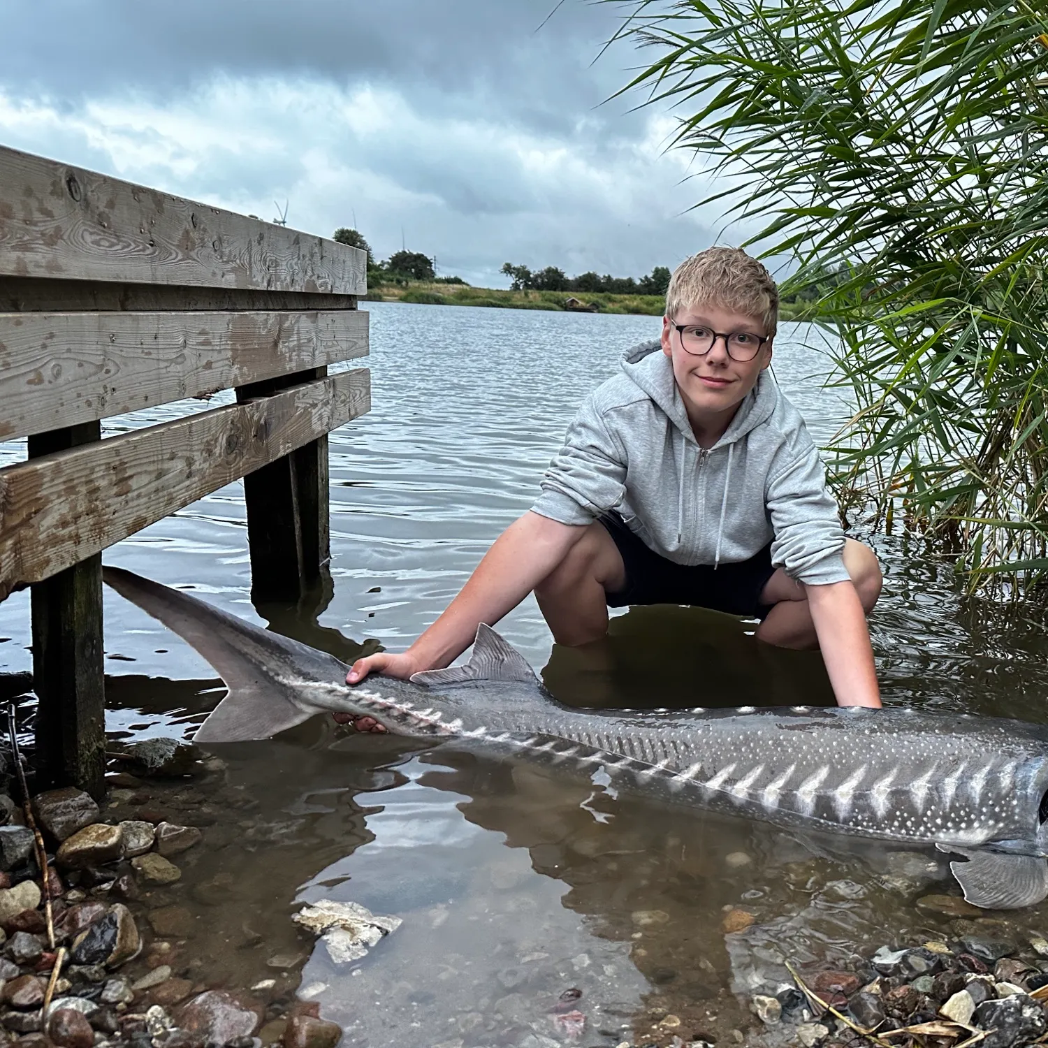 White sturgeon caught on Fishbrain