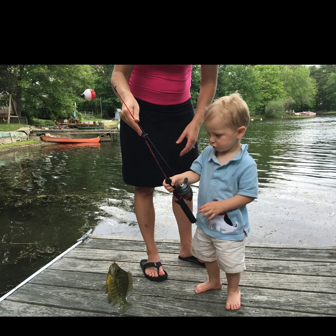 Bluegill caught on Fishbrain