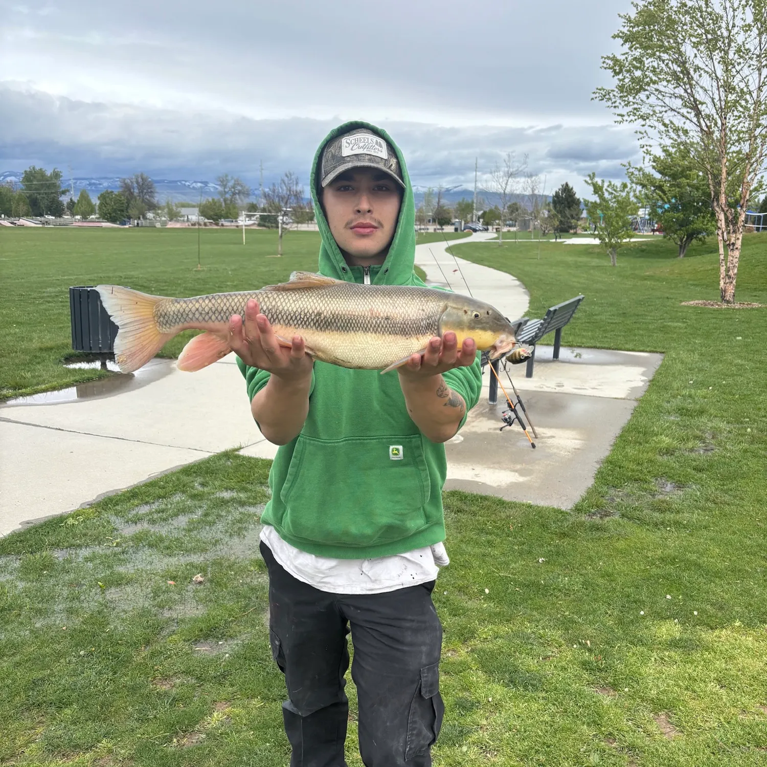 The most recent Largescale sucker catches on Fishbrain