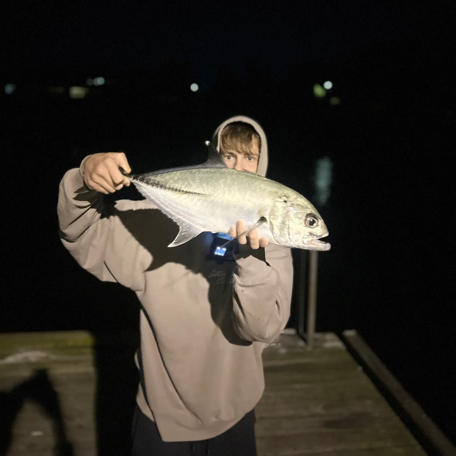 The most recent Bigeye trevally catches on Fishbrain