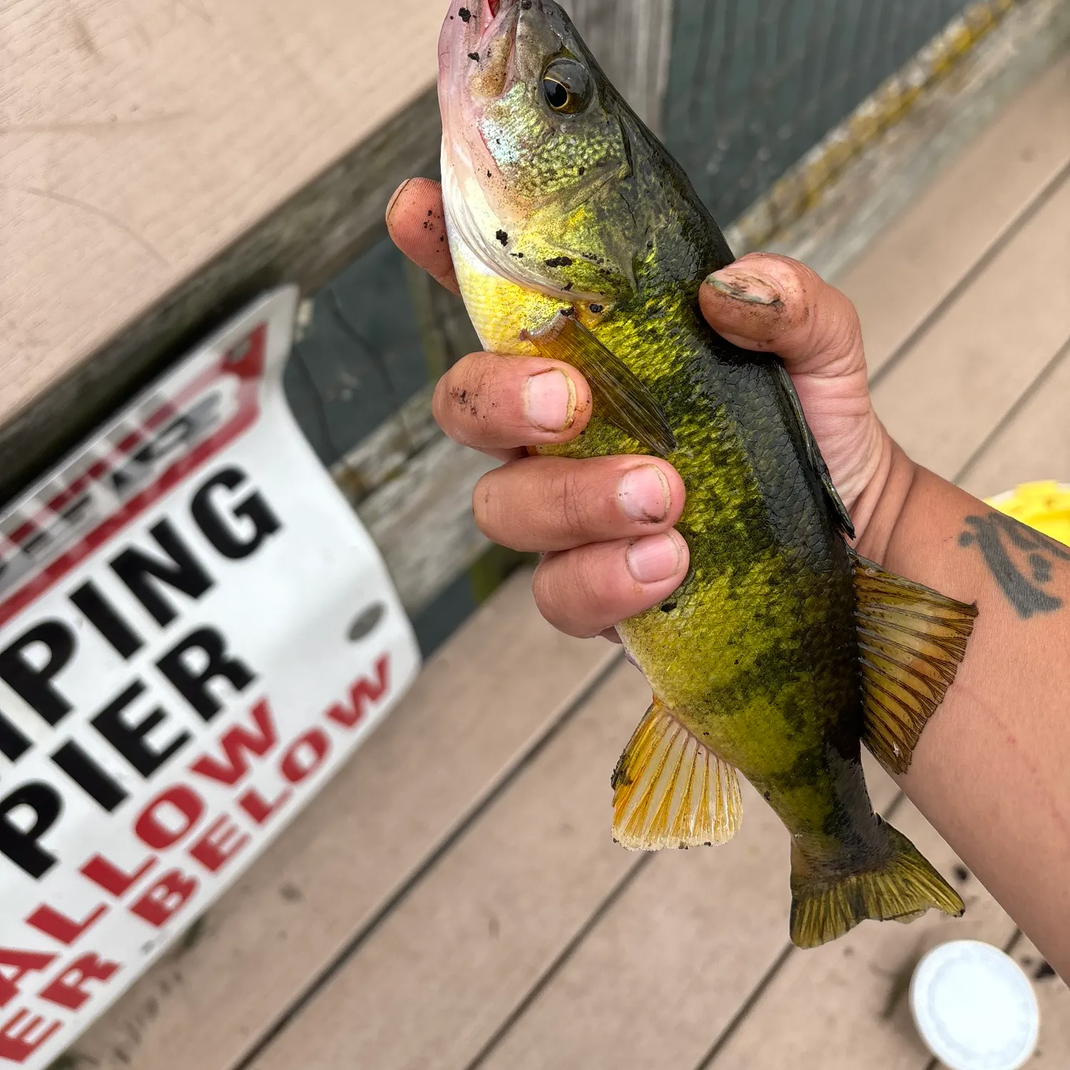 catch