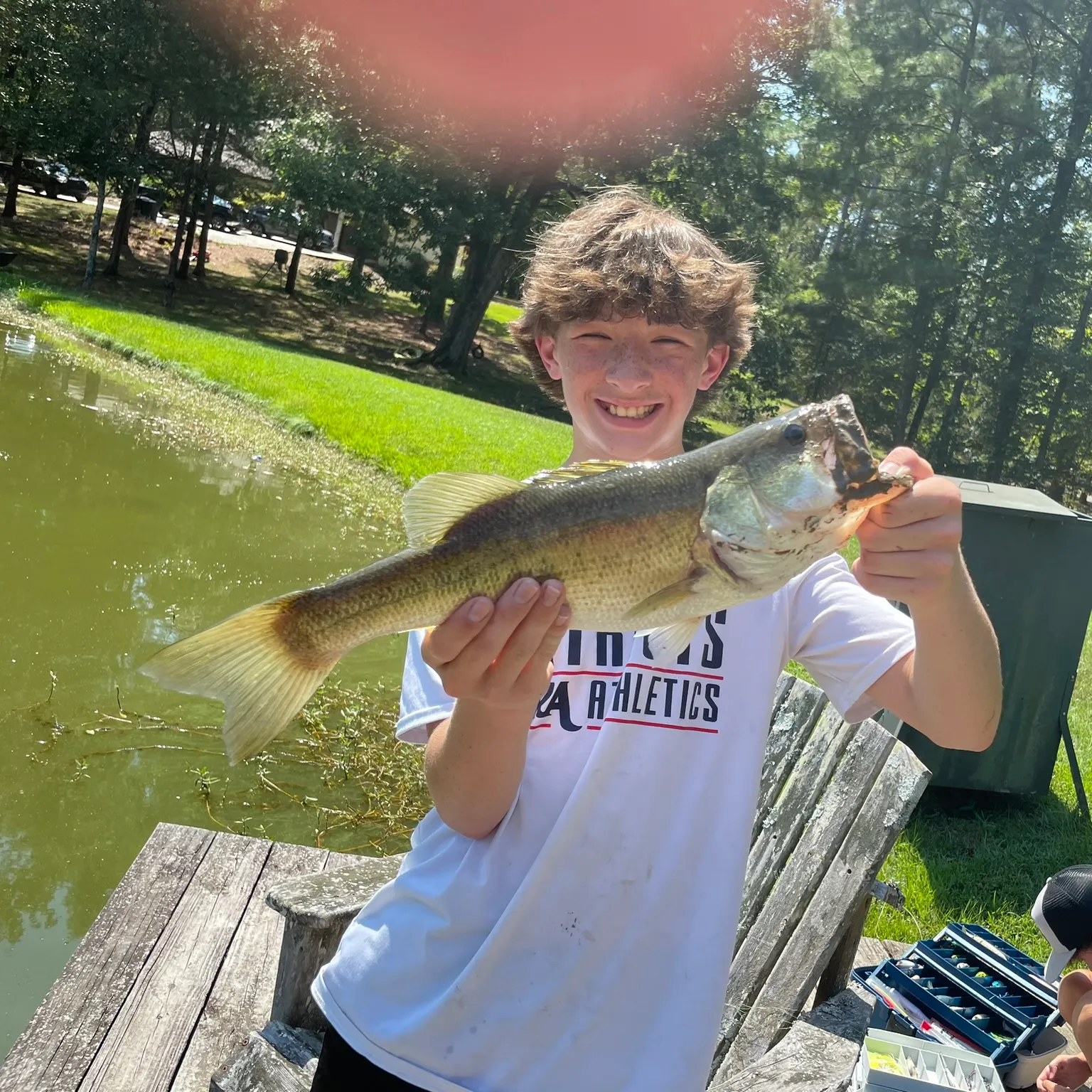 angler catch