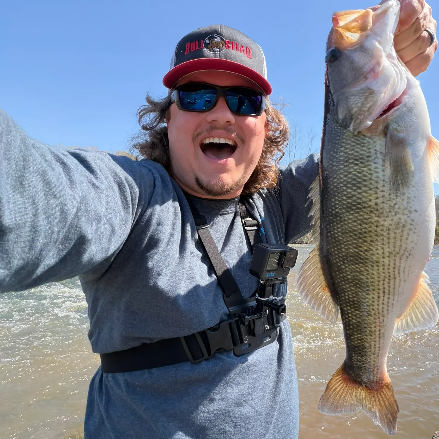 The most recent Alabama bass catches on Fishbrain