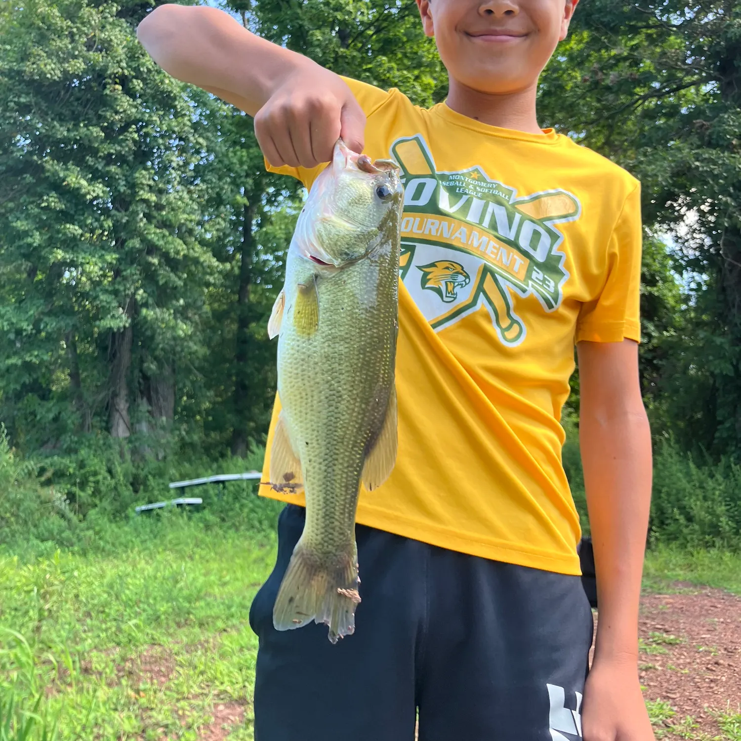 Largemouth bass caught on Fishbrain