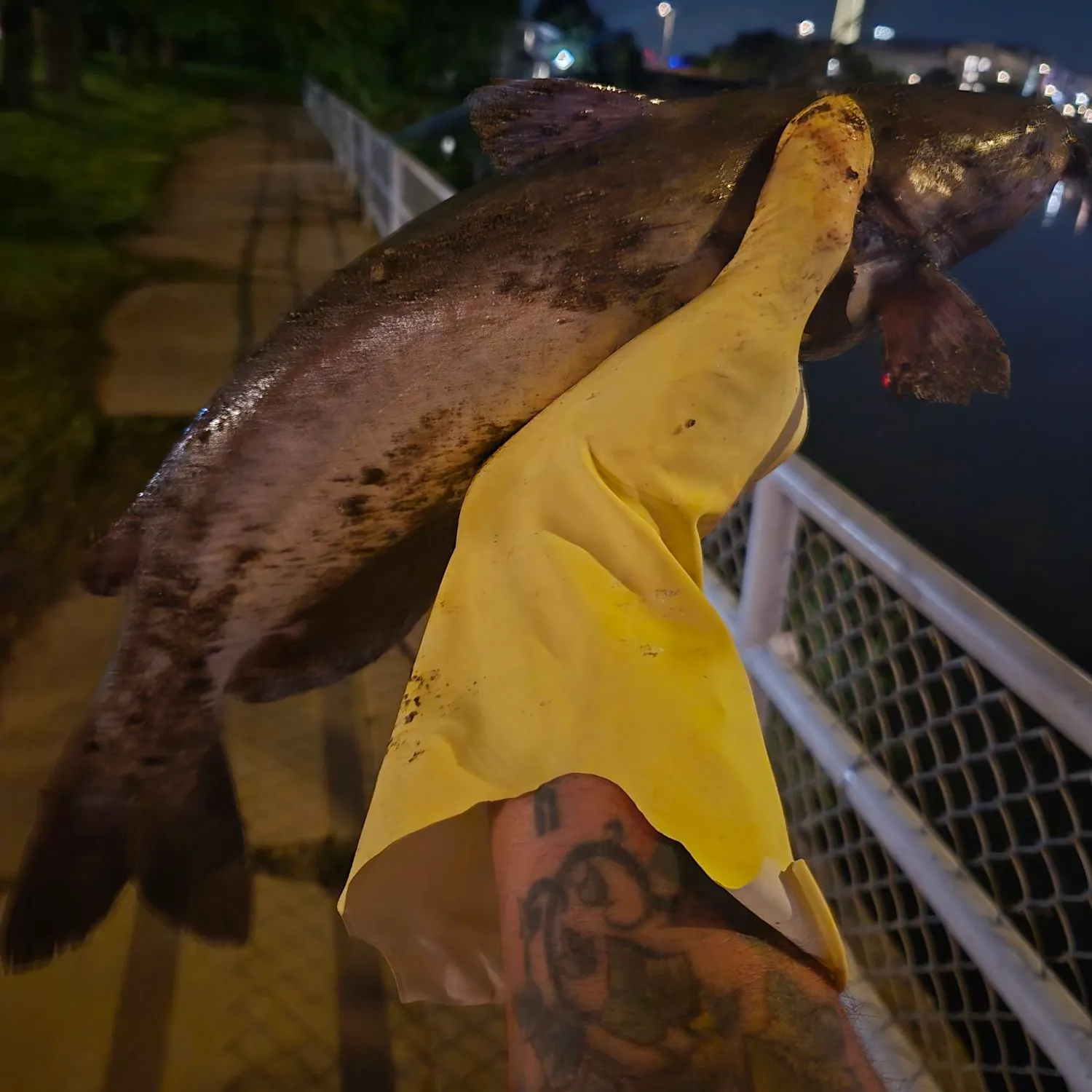 catch