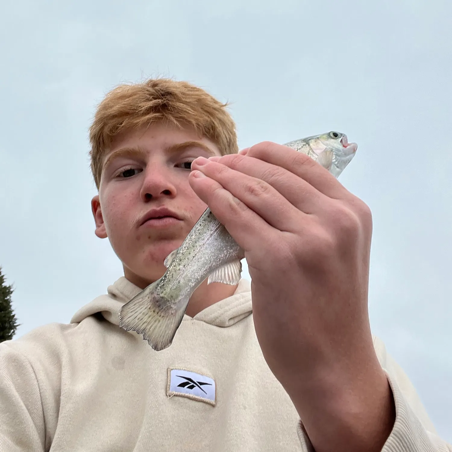 Rainbow trout caught on Fishbrain