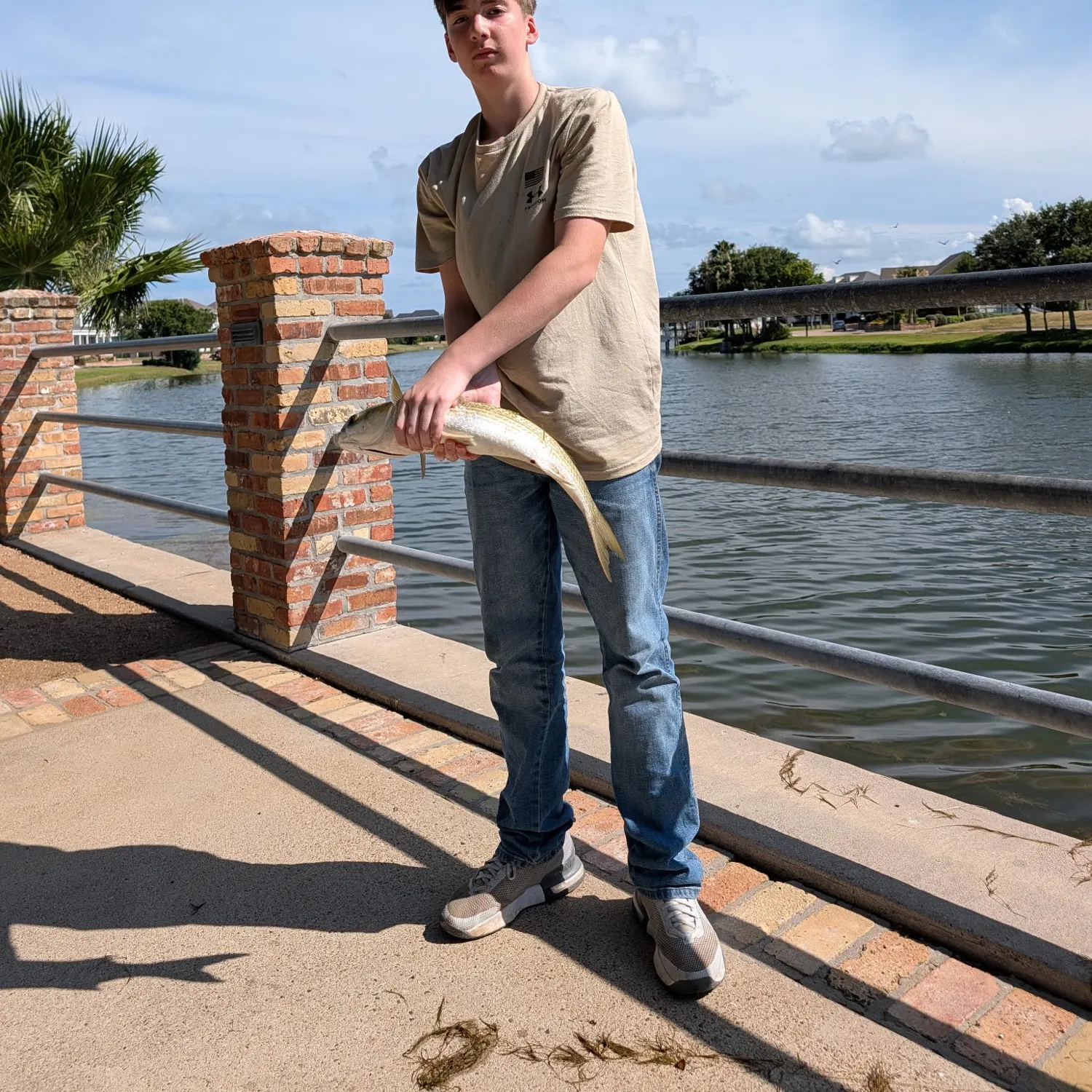 The most recent White mullet catches on Fishbrain