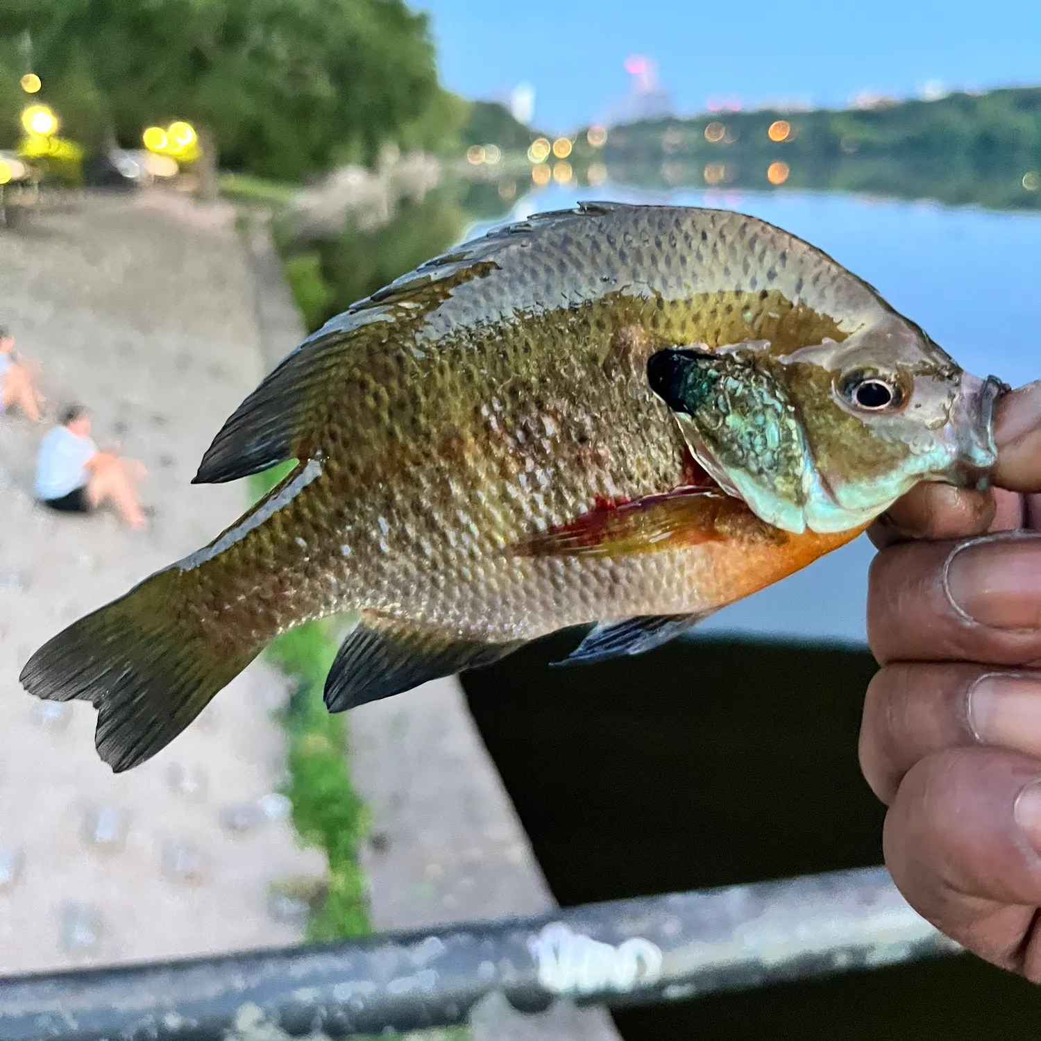 catch