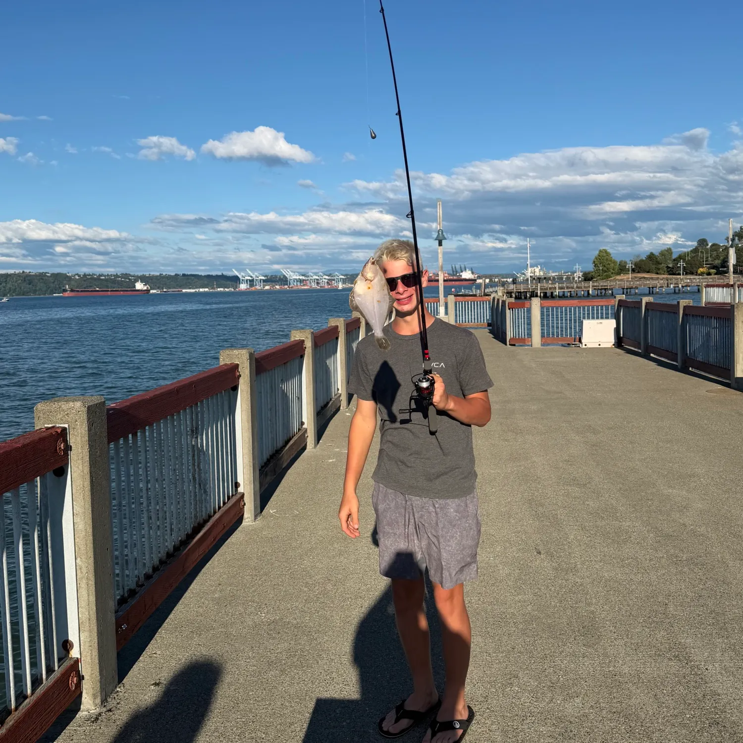 The most recent Starry flounder catches on Fishbrain